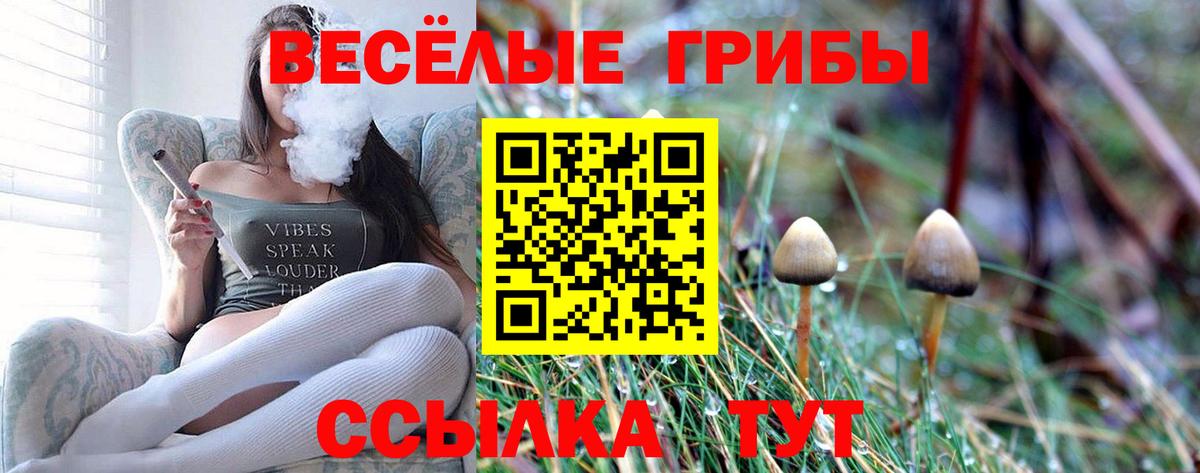 Псилоцибиновые грибы мухоморы Усть-Джегута